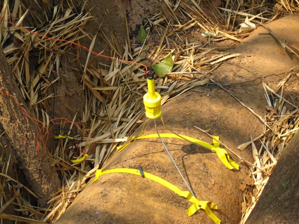 Humanitarian Demining Vulcan tapped on target